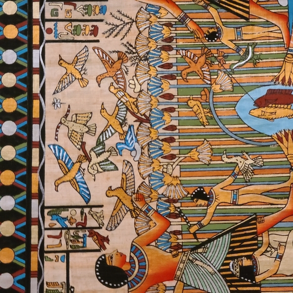 Papyrus - Picture 12 of 16